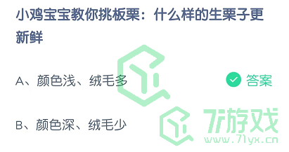 小鸡宝宝教你挑板栗：什么样的生栗子更新鲜