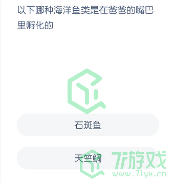 以下哪种海洋鱼类是在爸爸的嘴巴里孵化的
