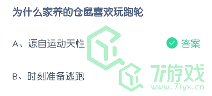 为什么家养的仓鼠喜欢玩跑轮