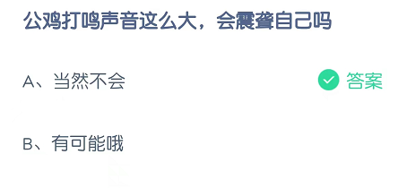 公鸡打鸣声音这么大，会震聋自己吗