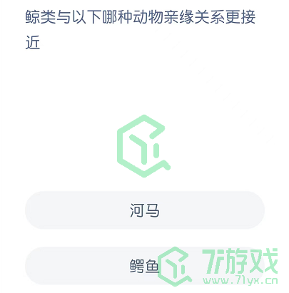 鲸类与以下哪种动物亲缘关系更接近