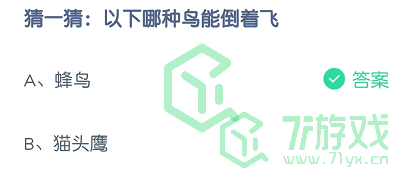 猜一猜：以下哪种鸟类能倒着飞