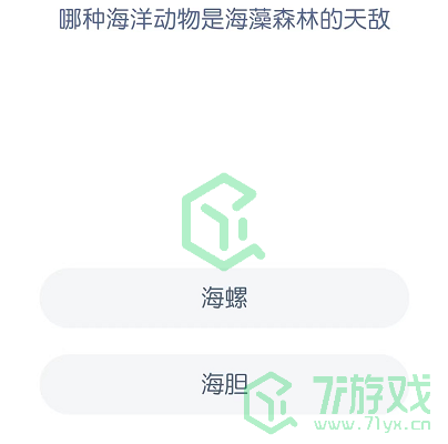 哪种海洋动物是海藻森林的天敌