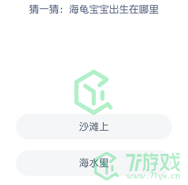 猜一猜：海龟宝宝出生在哪里