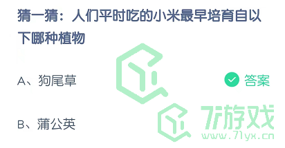 猜一猜：人们平时吃的小米最早培育自以下哪种植物