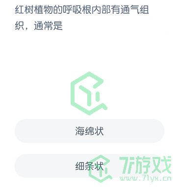 红树植物的呼吸根内部是有通气组织，通常是