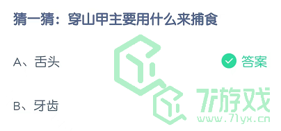 猜一猜：穿山甲主要用什么来捕食