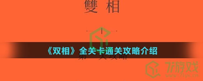 《双相》全关卡通关攻略介绍