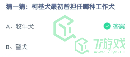 猜一猜：柯基最初曾担任哪种工作犬