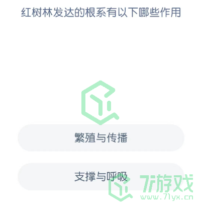 红树林发达的根系有以下哪些作用？