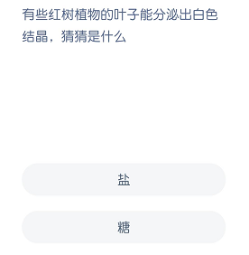 有些红树植物的叶子能分泌出白色结晶，猜猜是什么