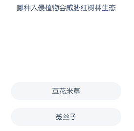 哪种入侵植物会威胁红树林生态
