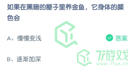 如果在黑暗的屋子里养金鱼，它身体的颜色会