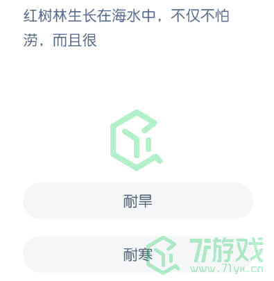 红树林生长在海水中，不仅不怕涝，而且很