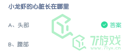 小龙虾的心脏长在哪里