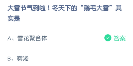 大雪节气到啦！冬天下的“鹅毛大雪”其实是
