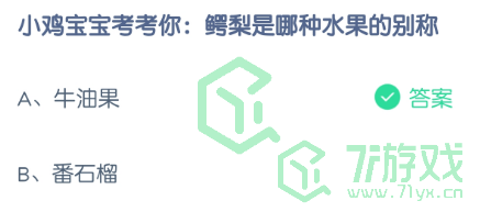 小鸡宝宝考考你：鳄梨是哪种水果的别称