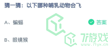 猜一猜：以下哪种哺乳动物会飞