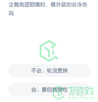 企鹅抱团取暖时，最外层的会冻伤吗