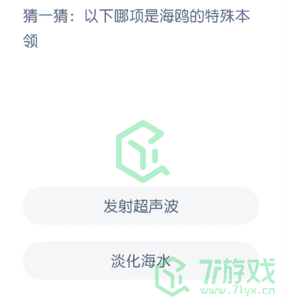 猜一猜：以下哪项是海鸥的特殊本领