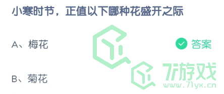 小寒时节，正值以下哪种花盛开之际