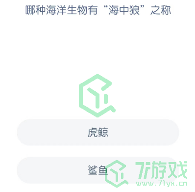 哪种海洋生物有“海中狼”之称