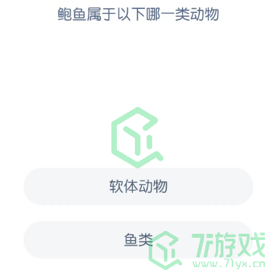 鲍鱼属于以下哪一类动物