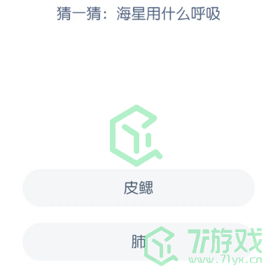 猜一猜：海星用什么呼吸