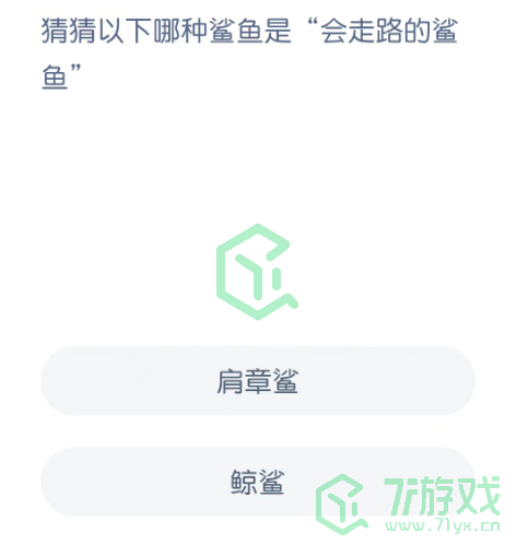 猜猜以下哪种鲨鱼是“会走路的鲨鱼”