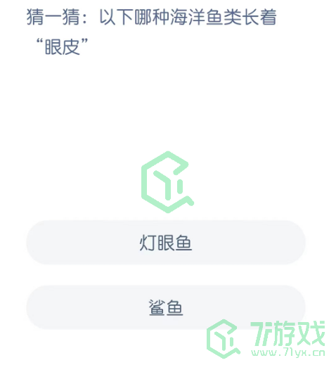 猜一猜：以下哪种海洋鱼类长着“眼皮”