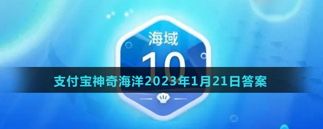 哪类鲸只有一个呼吸孔？