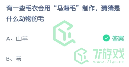 有一些毛衣会用“马海毛”制作，猜猜是什么动物的毛