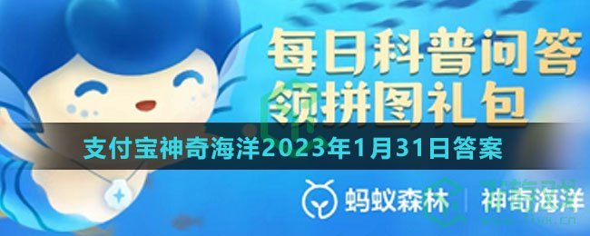 红珊瑚就是红颜色的珊瑚吗