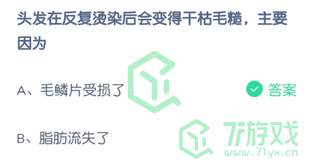 头发在反复烫染后会变得干枯毛糙，主要因为