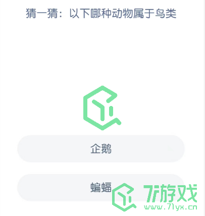 猜一猜：以下哪种动物属于鸟类