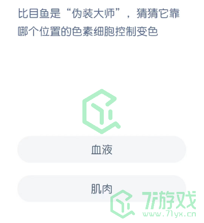 比目鱼是“伪装大师”，猜猜它靠哪个位置的色素细胞控制变色