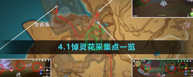 《原神》4.1悼灵花采集点一览