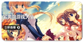 宅男向游戏大全