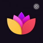 壁纸屋和谐版手机软件app