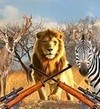 非洲丛林狩猎手游app