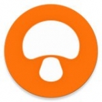 蘑菇漫画免费版手机软件app 蘑菇漫画免费版手机软件app