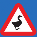 捣蛋鹅手游app 捣蛋鹅手游app