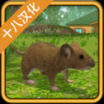 老鼠模拟器手游app 老鼠模拟器手游app