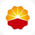 石油党建铁人先锋每日答题手机软件app 石油党建铁人先锋每日答题手机软件app