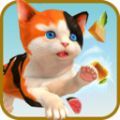 沙雕猫模拟器手游app