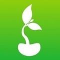 豆芽短视频手机软件app