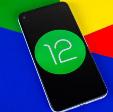 Android12开发者预览版手机软件app Android12开发者预览版手机软件app