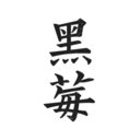 黑莓小说手机软件app 黑莓小说手机软件app