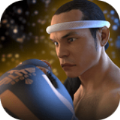 泰拳2格斗冲突手游app 泰拳2格斗冲突手游app