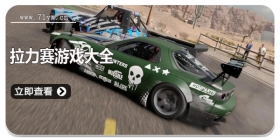 拉力赛游戏大全